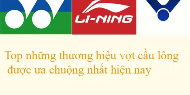 Các Thương Hiệu Quả Cầu Lông Nổi Tiếng: Danh Sách, Đánh Giá Và Kinh Nghiệm Chọn Lựa Chuẩn 2026 - HIVEX.BABY