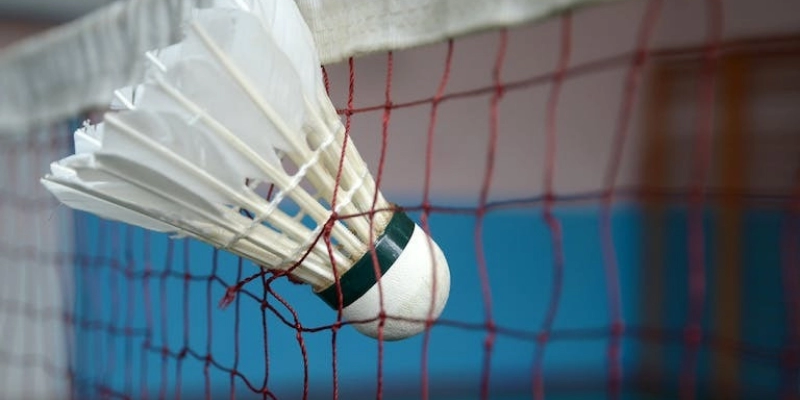 Cấu Tạo Chi Tiết Quả Cầu Lông: Tìm Hiểu Đầy Đủ, Thực Tế Và Cập Nhật 2026 - HIVEX.BABY