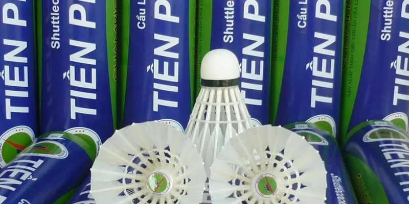 Giá Quả Cầu Lông Trên Thị Trường Hiện Nay: Cập Nhật Mới Nhất 2026 - HIVEX.BABY