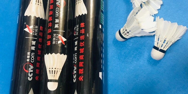Cầu Lông ProKennex 808: Lựa Chọn Đỉnh Cao Cho Người Chơi - HIVEX.BABY