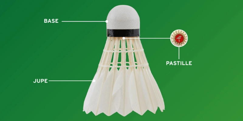ProKennex Champion: Lựa Chọn Vợt Cầu Lông Đỉnh Cao Cho Người Chơi Việt - HIVEX.BABY