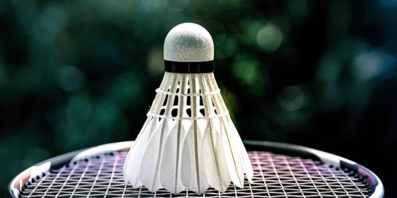 Nên Chọn Quả Cầu Lông Lông Vịt Hay Lông Ngỗng? Chuyên Gia ToniBadminton Phân Tích - HIVEX.BABY