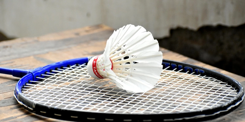Quy Trình Thay Quả Cầu Lông Trong Trận Đấu: Hướng Dẫn Đầy Đủ, Dễ Hiểu 2026 - HIVEX.BABY