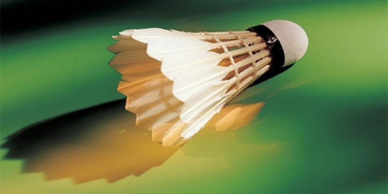 So Sánh Quả Cầu Lông RSL Và Lining: Đâu Là Lựa Chọn Tối Ưu Cho Bạn? - YiliBadminton - HIVEX.BABY