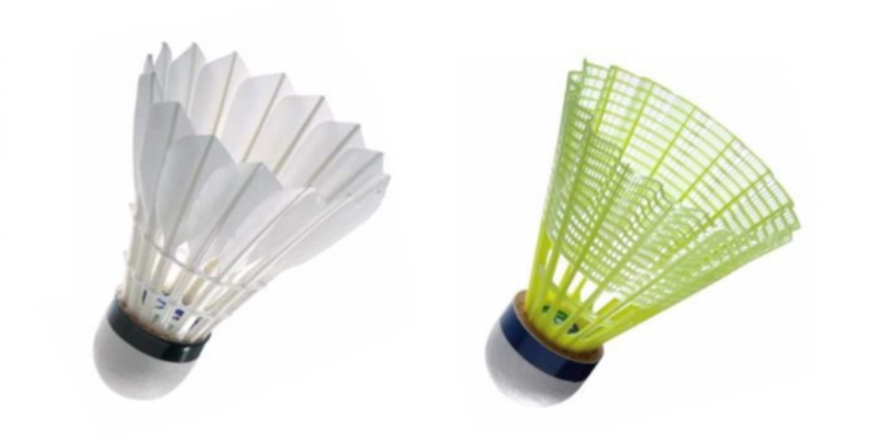Cầu Lông Victor Champion: Chất Lượng Cho Người Chơi Việt - HIVEX.BABY