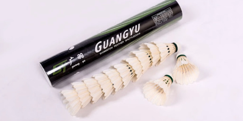 Tiêu Chuẩn Quốc Tế Của Quả Cầu LôngV: Toàn Bộ Quy Định, Cách Nhận Biết Và Lựa Chọn Tốt Nhất - HIVEX.BABY