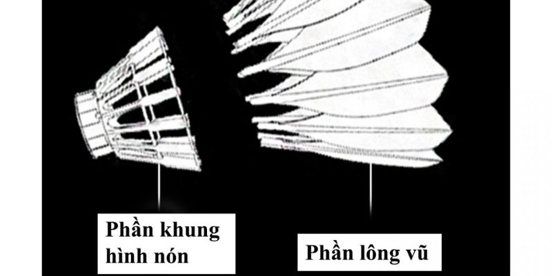 Trọng Lượng Quả Cầu Lông Theo Quy Định: Cập Nhật, Phân Tích Và Hướng Dẫn Chuẩn 2026 - HIVEX.BABY