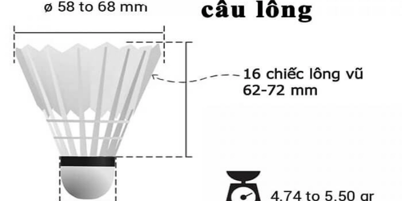Trọng Lượng Quả Cầu Lông Theo Quy Định: Cập Nhật, Phân Tích Và Hướng Dẫn Chuẩn 2026 - HIVEX.BABY