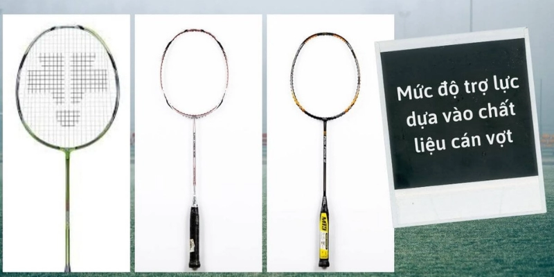 Hãng Vợt RSL: Giải Mã Sức Hút Và Chọn Lựa Cùng YiliBadminton - HIVEX.BABY