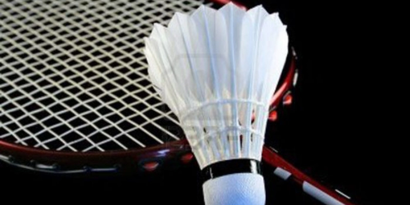 Liên Đoàn Cầu Lông Thế Giới (BWF): Toàn Tập Về Tổ Chức Quyền Lực Nhất - HIVEX.BABY