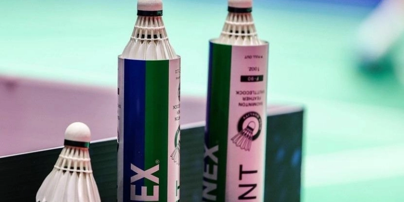 Trọng Tài Trong Trận Đấu Cầu Lông: Vai Trò, Tín Hiệu & Luật Lệ - HIVEX.BABY
