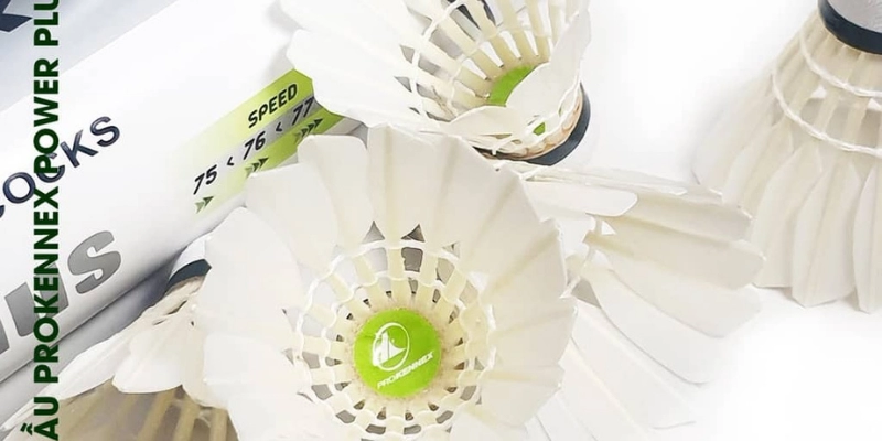 Cầu Lông ProKennex 808: Lựa Chọn Đỉnh Cao Cho Người Chơi - HIVEX.BABY