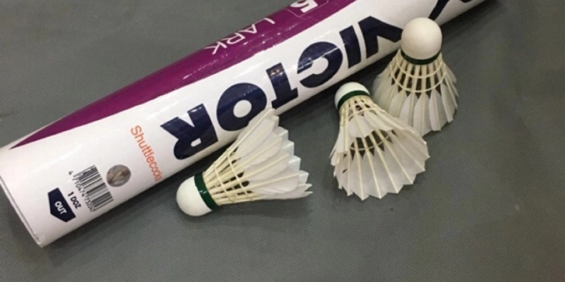 Cầu Lông Victor Queen: Đỉnh Cao Phong Cách Và Hiệu Năng Cho Phái Đẹp - HIVEX.BABY