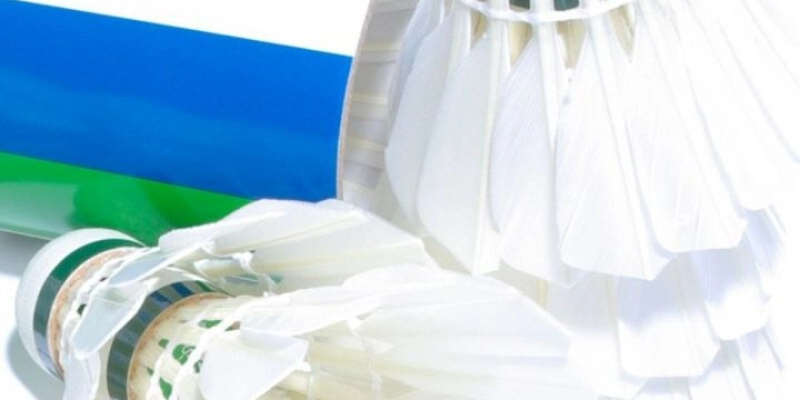Chất Kiệu Cầu RSL: Tất Tần Tật Từ A-Z – Cùng YiliBadminton - HIVEX.BABY