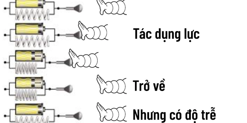 Độ Đàn Hồi: Hiểu Đúng, Ứng Dụng Trong Cầu Lông Và Cuộc Sống - HIVEX.BABY