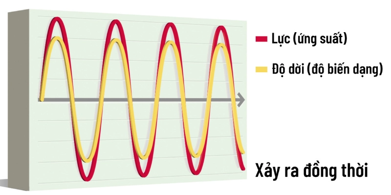 Độ Đàn Hồi: Hiểu Đúng, Ứng Dụng Trong Cầu Lông Và Cuộc Sống - HIVEX.BABY