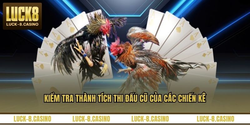 Đá Gà Peru - Đấu Trường Kịch Tính Của Các Chiến Kê - HIVEX.BABY Đá Gà Peru - Đấu Trường Kịch Tính Của Các Chiến Kê - HIVEX.BABY