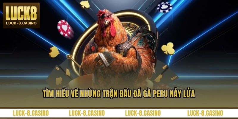 Đá Gà Peru - Đấu Trường Kịch Tính Của Các Chiến Kê - HIVEX.BABY Đá Gà Peru - Đấu Trường Kịch Tính Của Các Chiến Kê - HIVEX.BABY