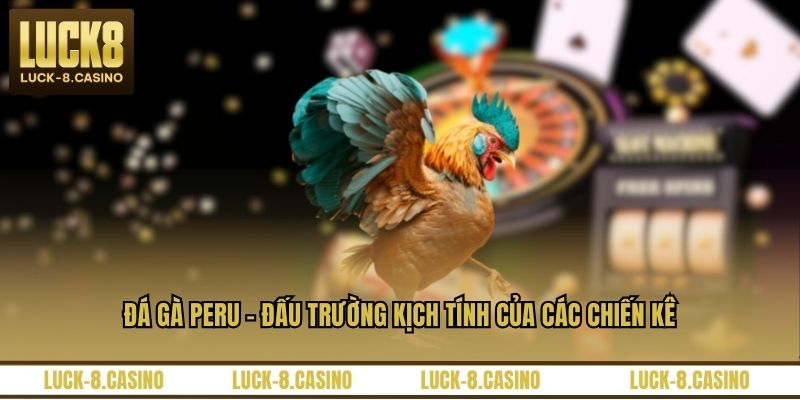 Đá Gà Peru - Đấu Trường Kịch Tính Của Các Chiến Kê - HIVEX.BABY
