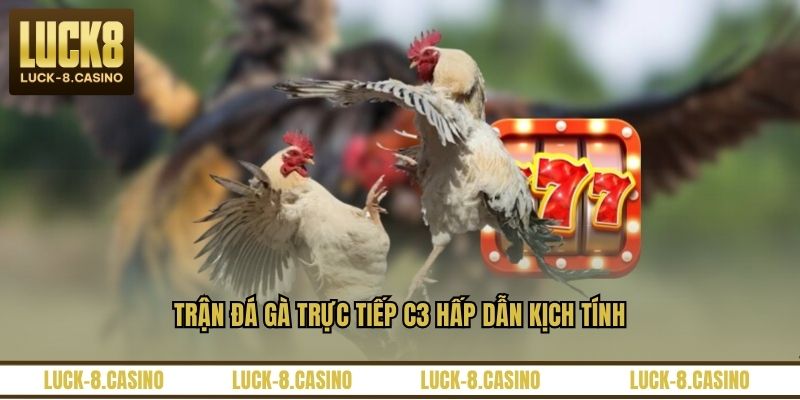 Đá Gà Trực Tiếp C3 – Trải Nghiệm Xem Đá Gà Đỉnh Cao - HIVEX.BABY Đá Gà Trực Tiếp C3 – Trải Nghiệm Xem Đá Gà Đỉnh Cao - HIVEX.BABY