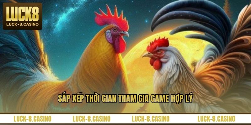 Đá Gà Trực Tiếp C3 – Trải Nghiệm Xem Đá Gà Đỉnh Cao - HIVEX.BABY Đá Gà Trực Tiếp C3 – Trải Nghiệm Xem Đá Gà Đỉnh Cao - HIVEX.BABY