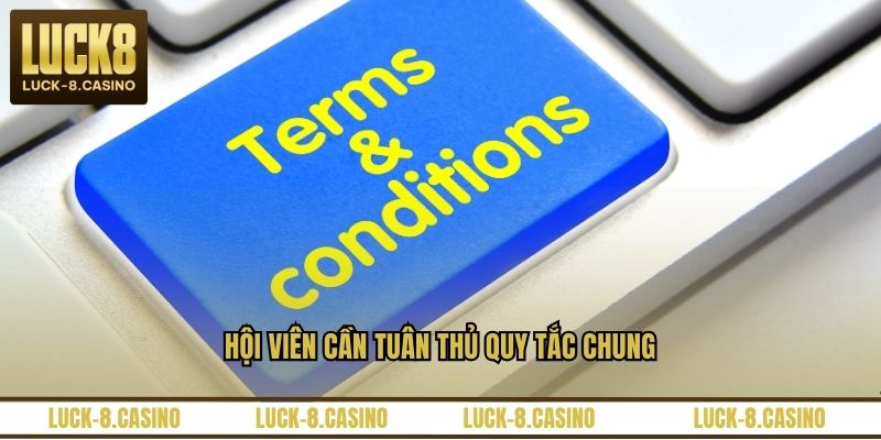 Điều Khoản Điều Kiện - Những Quy Định Tại Trang Web - HIVEX.BABY Điều Khoản Điều Kiện - Những Quy Định Tại Trang Web - HIVEX.BABY