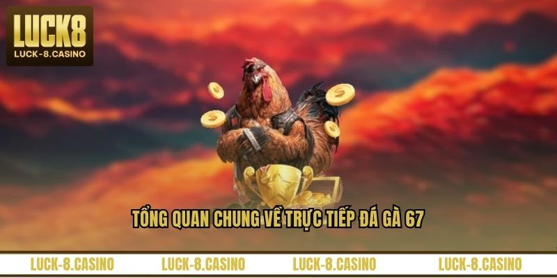 Trực Tiếp Đá Gà 67 – Nền Tảng Xem Đá Gà Hấp Dẫn Nhất - HIVEX.BABY Trực Tiếp Đá Gà 67 – Nền Tảng Xem Đá Gà Hấp Dẫn Nhất - HIVEX.BABY