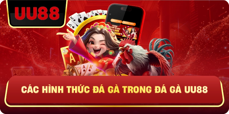 Đá Gà Uu88 – Trực Tiếp Kịch Tính, Kèo Chuẩn, Trải Nghiệm Đá Gà Đỉnh Cao - HIVEX.BABY