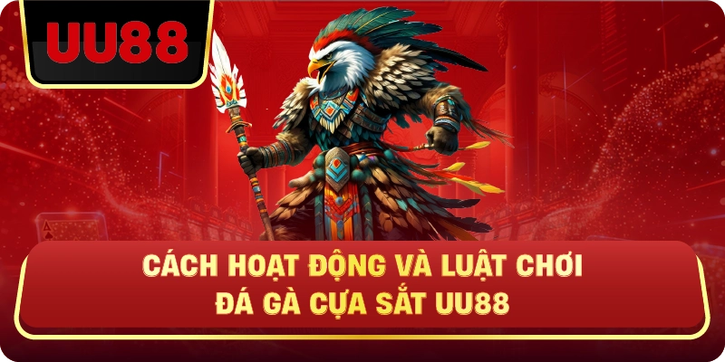 Đá Gà Cựa Sắt Uu88 – Trận Nhanh, Cược Chuẩn Mới Có Lời - HIVEX.BABY