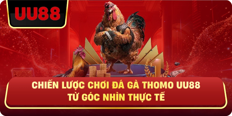 Đá Gà Thomo Uu88 – Trực Tiếp Kịch Tính, Cược Chuẩn Mới Thắng - HIVEX.BABY