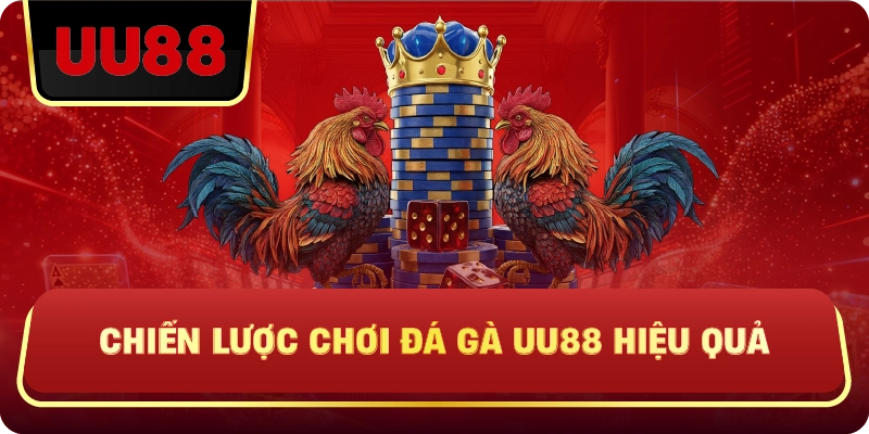 Đá Gà Uu88 – Trực Tiếp Kịch Tính, Kèo Chuẩn, Trải Nghiệm Đá Gà Đỉnh Cao - HIVEX.BABY