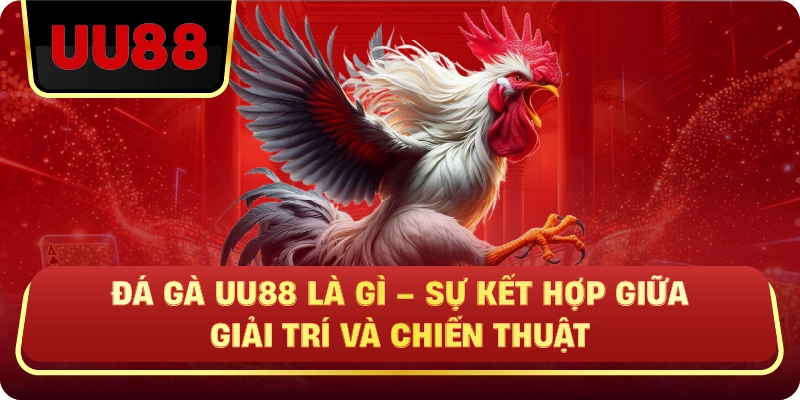Đá Gà Uu88 – Trực Tiếp Kịch Tính, Kèo Chuẩn, Trải Nghiệm Đá Gà Đỉnh Cao - HIVEX.BABY