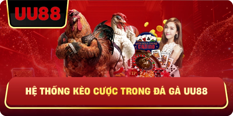 Đá Gà Uu88 – Trực Tiếp Kịch Tính, Kèo Chuẩn, Trải Nghiệm Đá Gà Đỉnh Cao - HIVEX.BABY