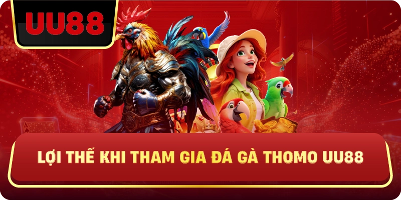Đá Gà Thomo Uu88 – Trực Tiếp Kịch Tính, Cược Chuẩn Mới Thắng - HIVEX.BABY
