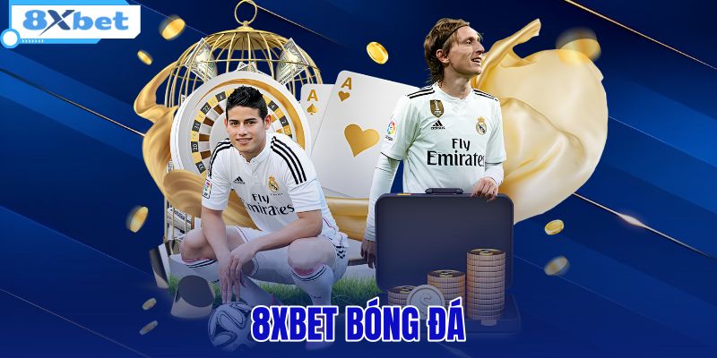 Thể Thao | Tin Tức 24H Lịch Thi Đấu Và Tỷ Lệ Kèo 8XBET - HIVEX.BABY