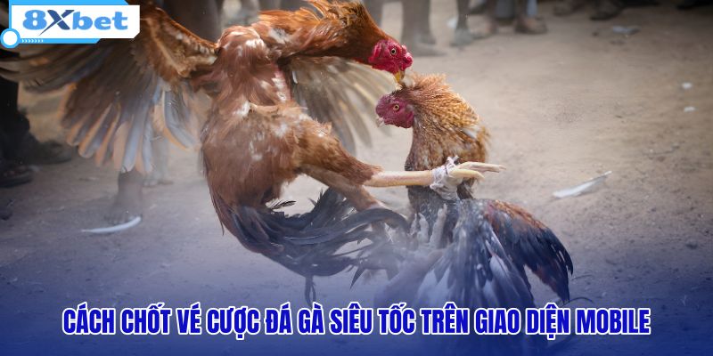Xem Kèo Đá Gà 8XBET: Bảng Tỷ Lệ Chuẩn Và Livestream HD - HIVEX.BABY Xem Kèo Đá Gà 8XBET: Bảng Tỷ Lệ Chuẩn Và Livestream HD - HIVEX.BABY