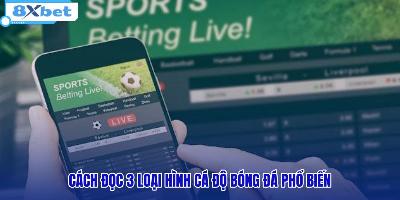 Đọc Kèo Nhà Cái | Hướng Dẫn Tính 3 Loại Tỷ Lệ Tại 8XBET - HIVEX.BABY Đọc Kèo Nhà Cái | Hướng Dẫn Tính 3 Loại Tỷ Lệ Tại 8XBET - HIVEX.BABY