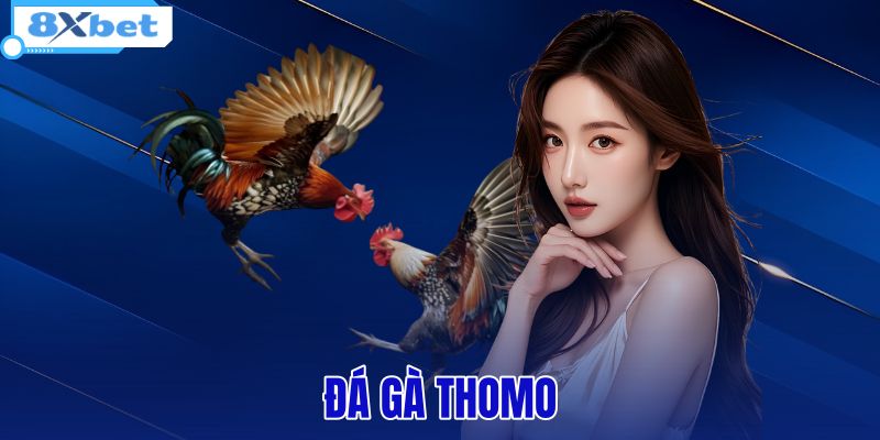 Đà Gà - Cẩm Nang Lịch Sử Và Luật Chơi Chuẩn Từ 8XBET - HIVEX.BABY