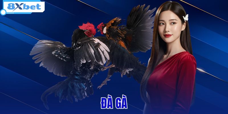 Đà Gà - Cẩm Nang Lịch Sử Và Luật Chơi Chuẩn Từ 8XBET - HIVEX.BABY