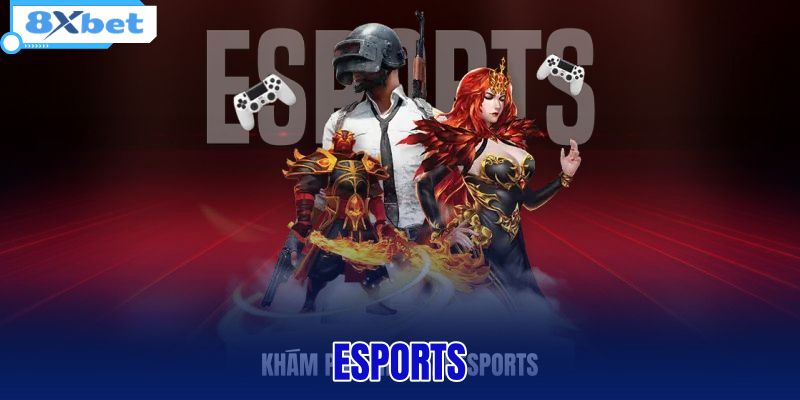 Esports - Lịch Thi Đấu Và Trực Tiếp Tỷ Lệ Kèo 8XBET - HIVEX.BABY