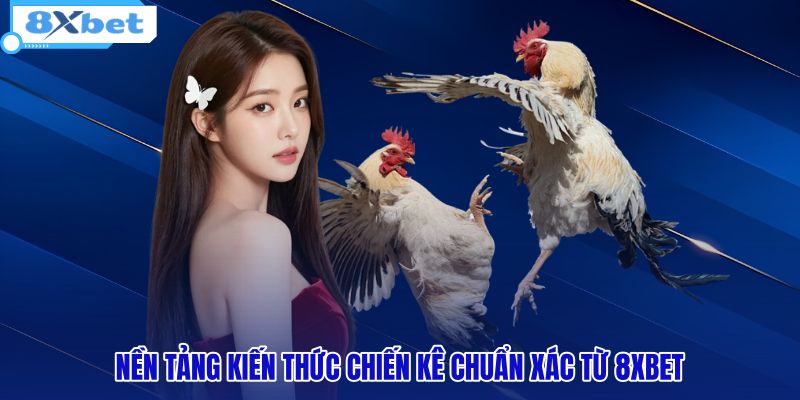 Đà Gà - Cẩm Nang Lịch Sử Và Luật Chơi Chuẩn Từ 8XBET - HIVEX.BABY