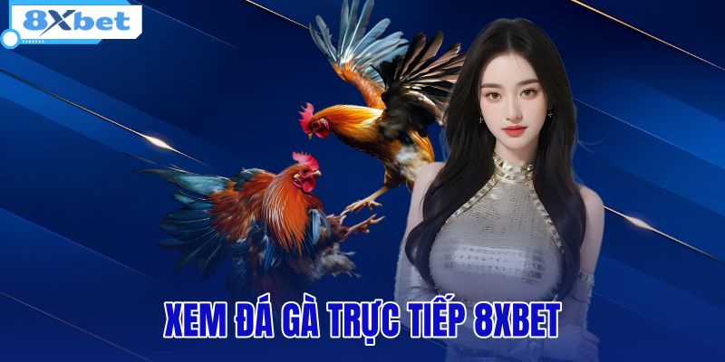 Đà Gà - Cẩm Nang Lịch Sử Và Luật Chơi Chuẩn Từ 8XBET - HIVEX.BABY